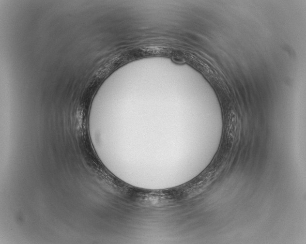 X0000115760420200912041414