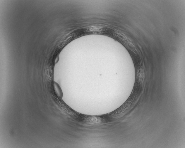 X0000115760421200912041414