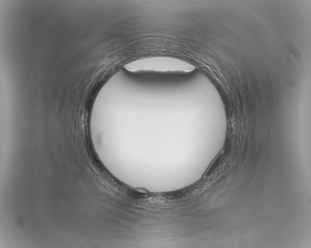 X0000115760423200912041414