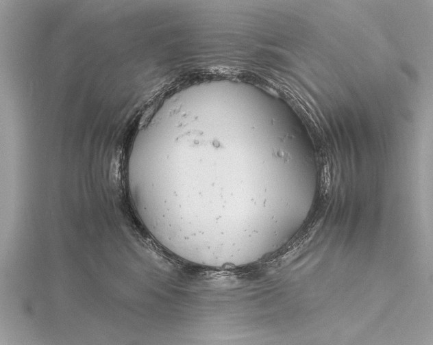 X0000115760424200912041414