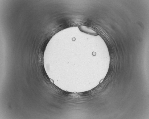 X0000115760425200912041414