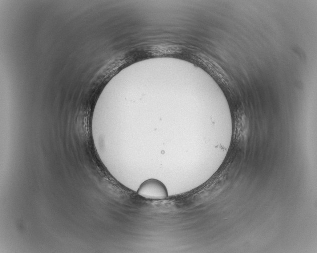 X0000115760426200912041414