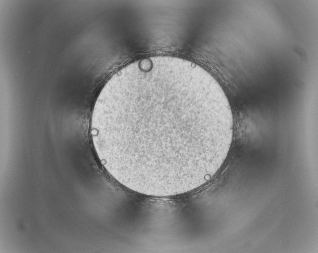 X0000115760427200912041414