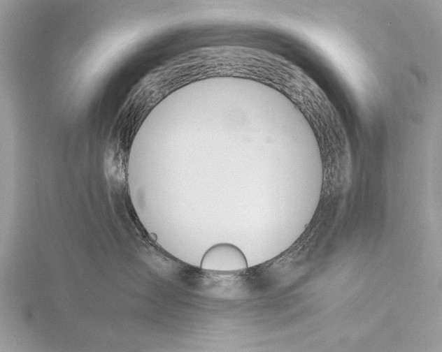 X0000115760431200912041414