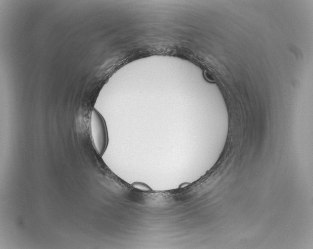 X0000115760432200912041414