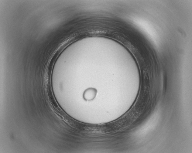 X0000115760435200912041414