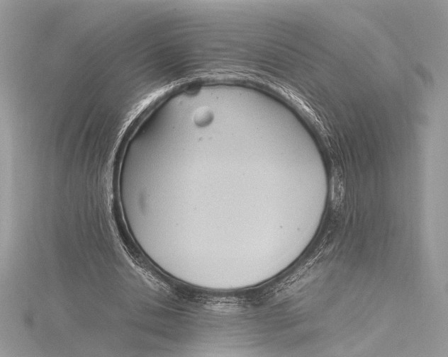 X0000115760438200912041414