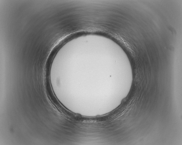 X0000115760440200912041414