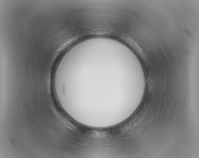 X0000115760442200912041414