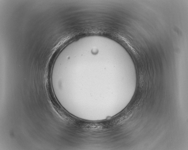 X0000115760443200912041414