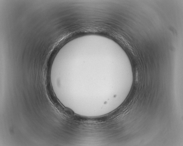 X0000115760444200912041414