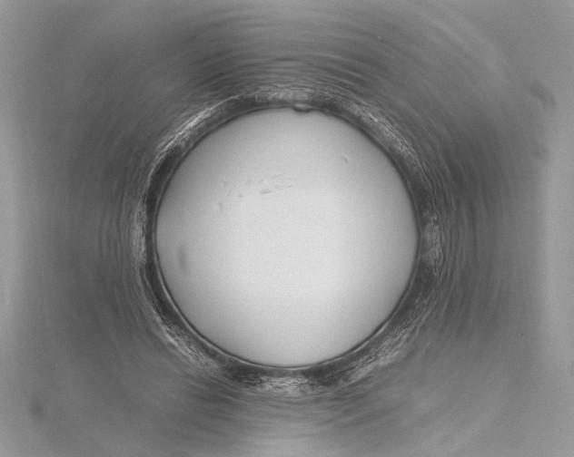 X0000115760446200912041414