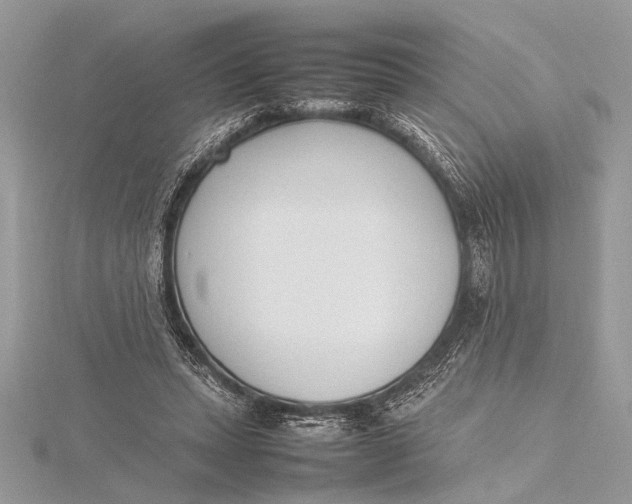 X0000115760447200912041414