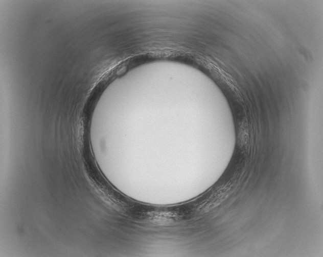 X0000115760448200912041414