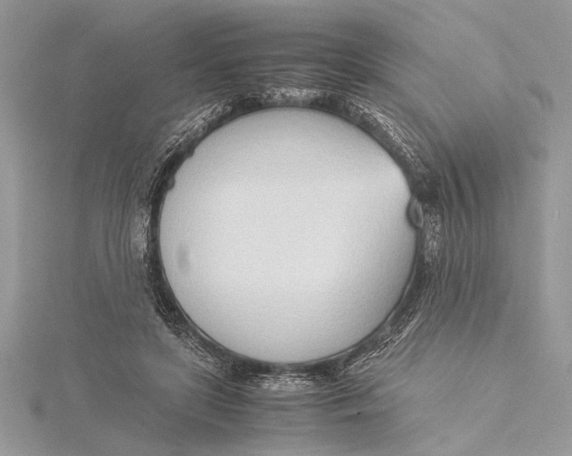 X0000115760451200912041414