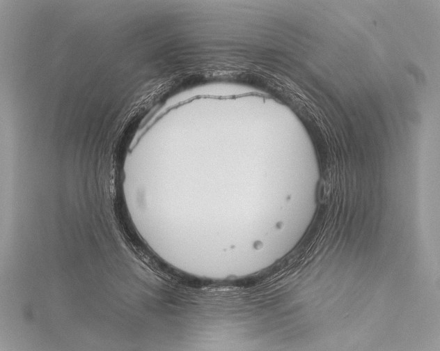 X0000115760452200912041414