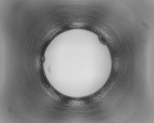 X0000115760455200912041414