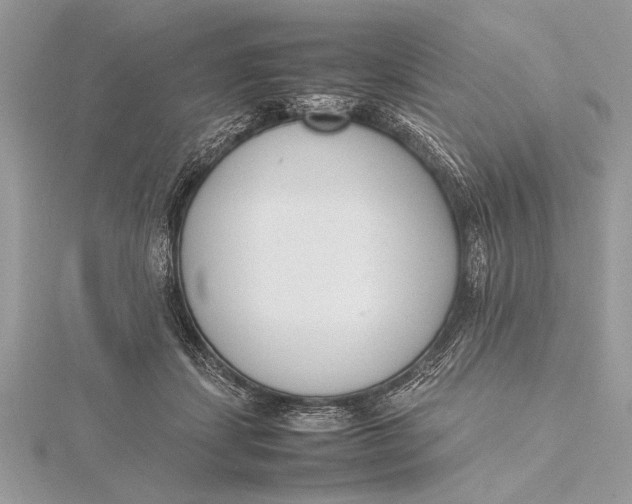 X0000115760459200912041414