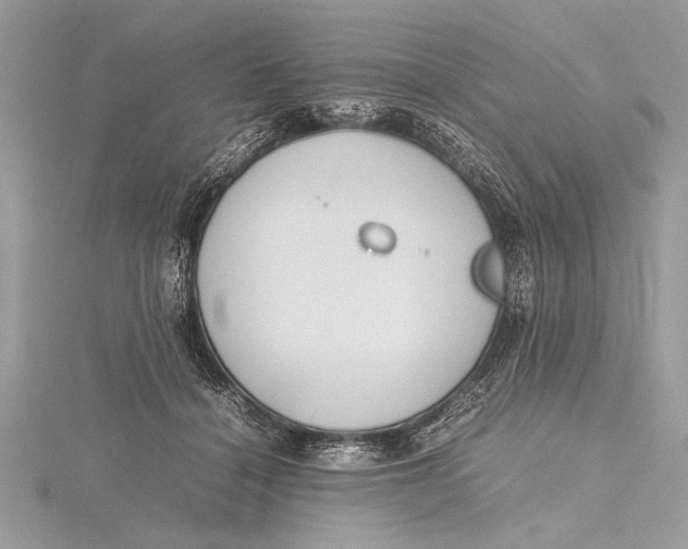 X0000115760460200912041414