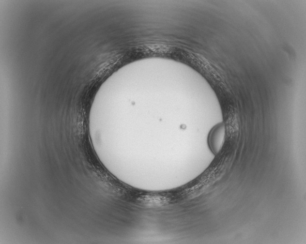 X0000115760464200912041414