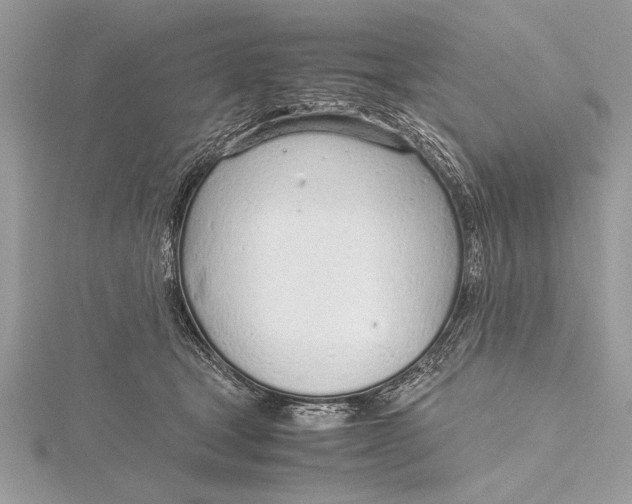 X0000115760465200912041414