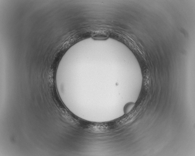 X0000115760466200912041414