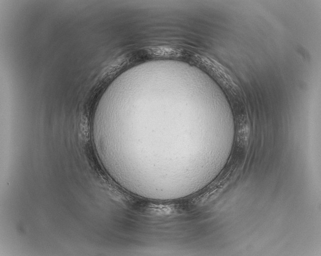 X0000115760469200912041414