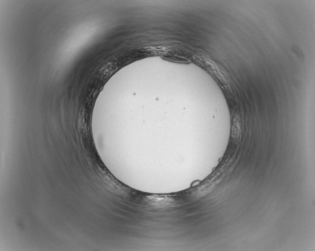 X0000115760477200912041414