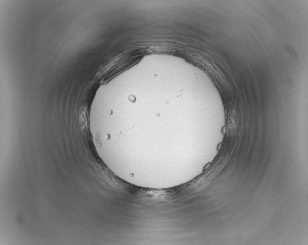 X0000115760478200912041414