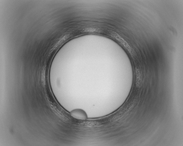 X0000115760482200912041413