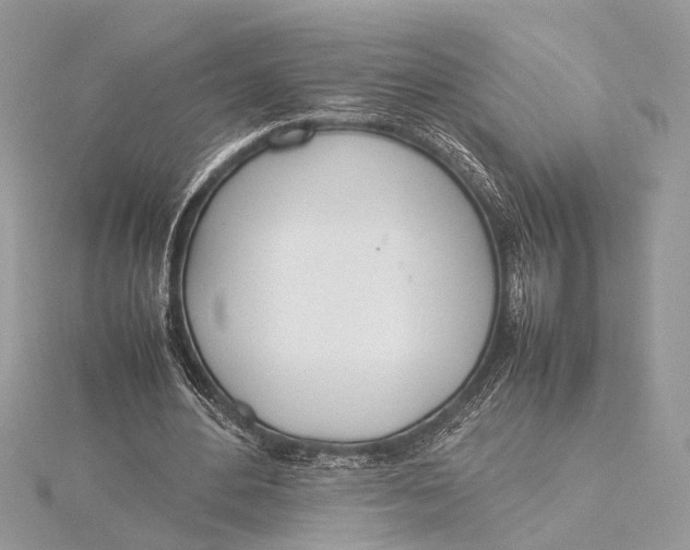 X0000115760484200912041413