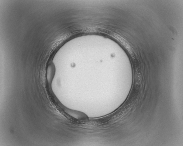 X0000115760485200912041413