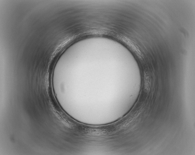 X0000115760486200912041413