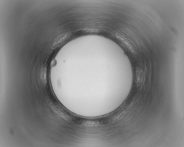 X0000115760494200912041413