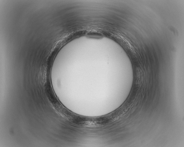 X0000115760496200912041413