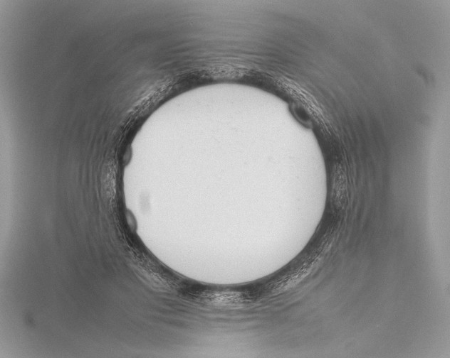 X0000115760501200912041413