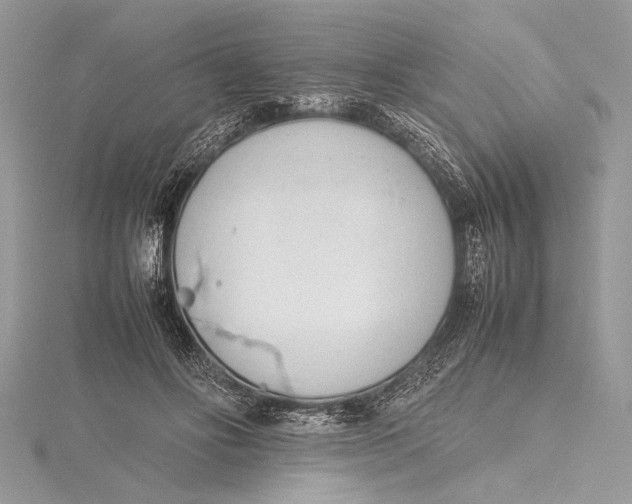 X0000115760502200912041413