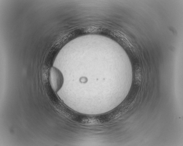 X0000115760503200912041413