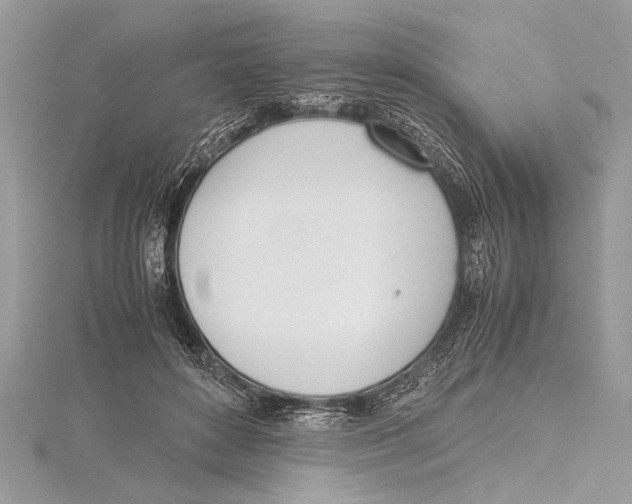 X0000115760504200912041413