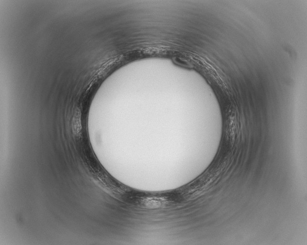 X0000115760508200912041413