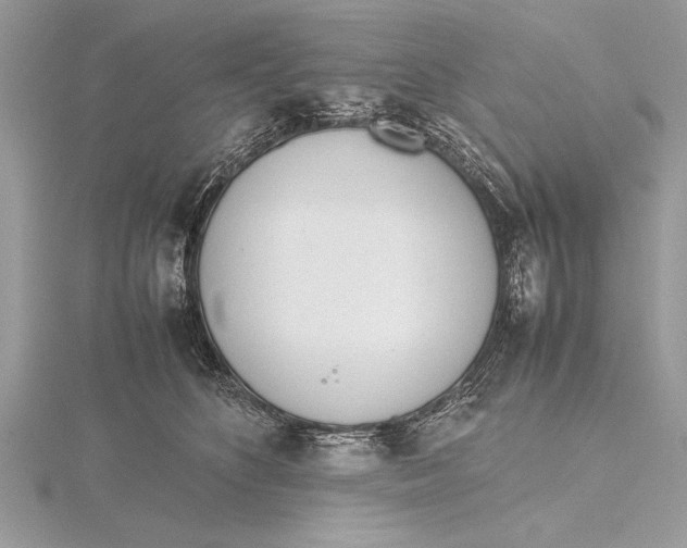 X0000115760516200912041413