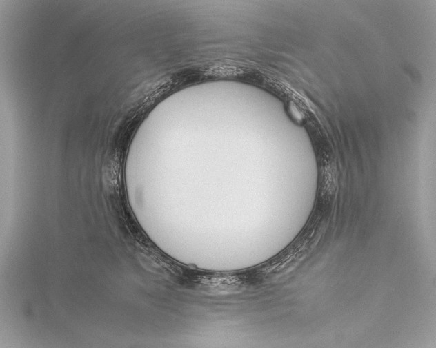 X0000115760517200912041413