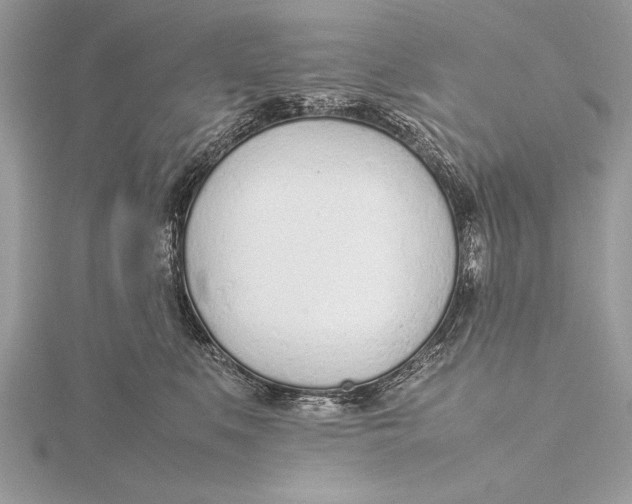 X0000115760519200912041413