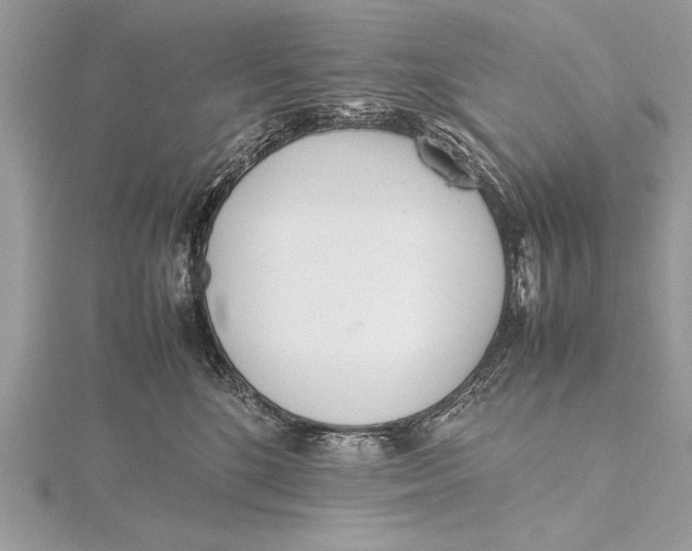 X0000115760520200912041413