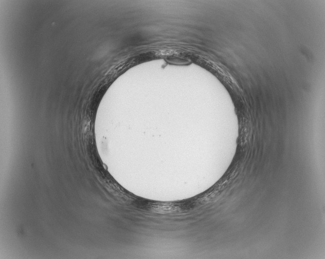 X0000115760521200912041413