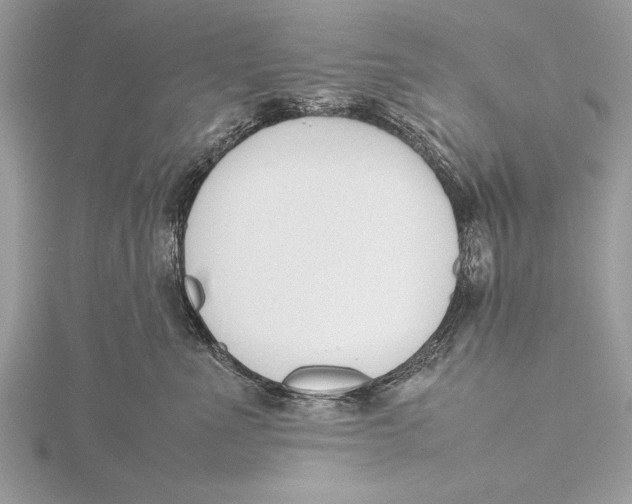 X0000115760523200912041413