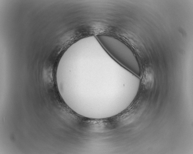 X0000115760524200912041413