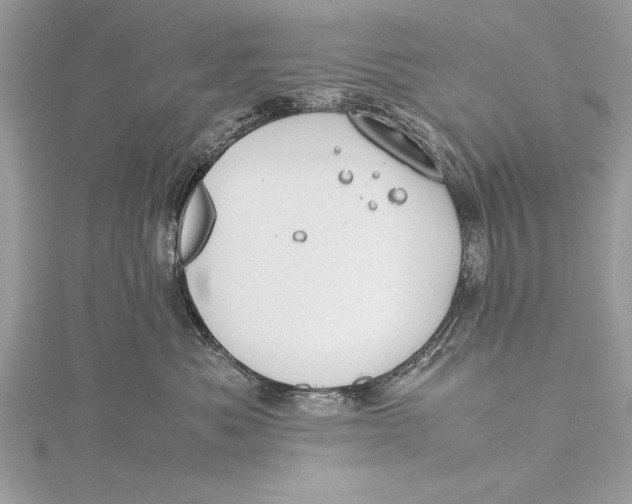 X0000115760525200912041413