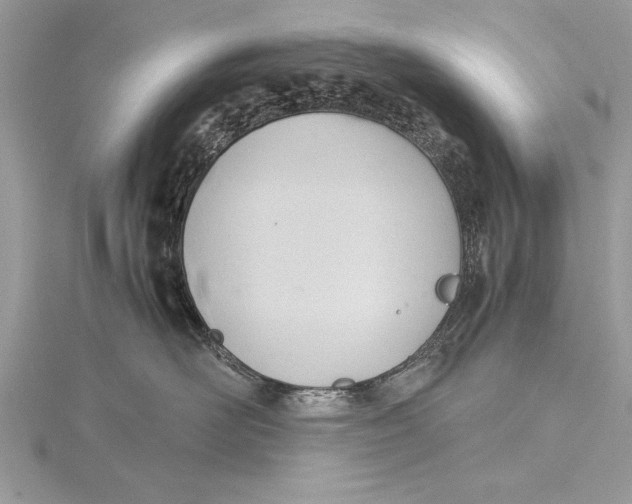 X0000115760526200912041413