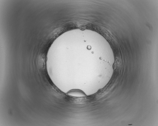 X0000115760527200912041413